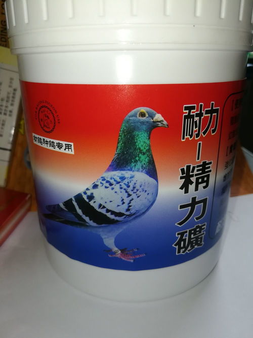 台湾耐力精力矿保健养鸽家郑东龙鸽药产品展示